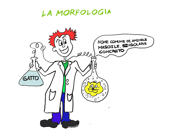 MORFOLOGIA 